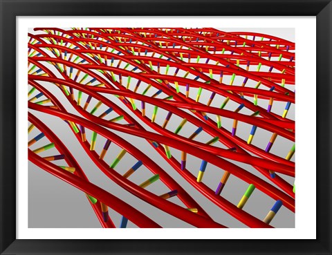 Framed Close-up of a human DNA structure Print