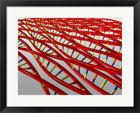 Framed Close-up of a human DNA structure Print