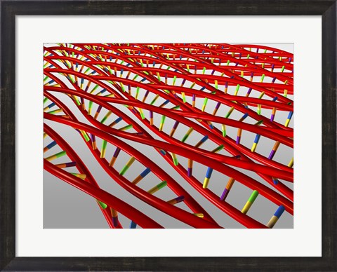 Framed Close-up of a human DNA structure Print