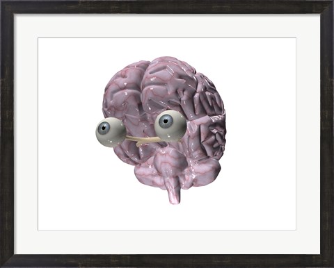 Framed Close-up of a human brain with eye balls Print