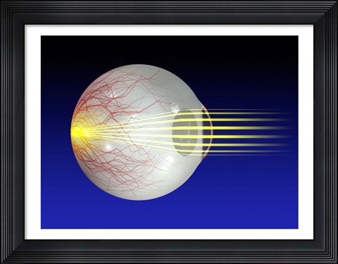 Framed Close-up of the human eyeball Print