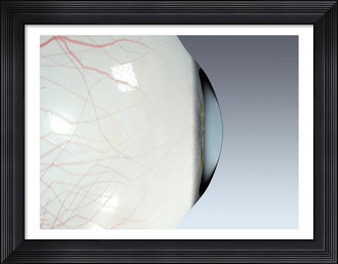Framed Close-up of the human eyeball side view Print