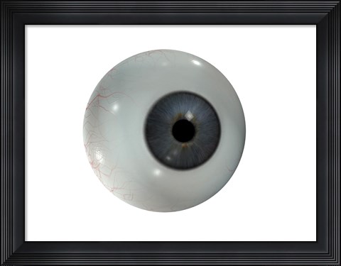 Framed Close-up of the human eyeball frontal view Print