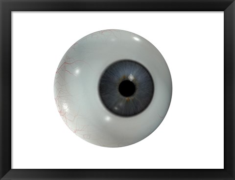 Framed Close-up of the human eyeball frontal view Print