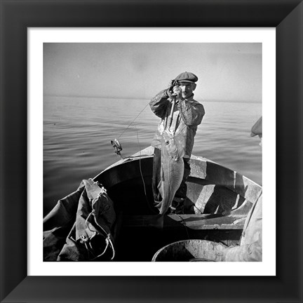 Framed Hauling in a cod aboard a Portuguese fishing dory off Cape Cod, Massachusetts Print