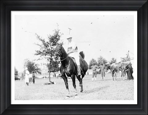 Framed ARMY POLO Print