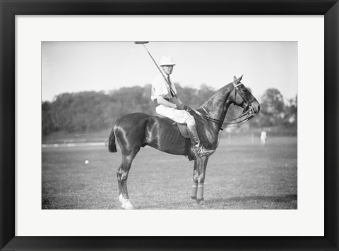 Framed Capt Thomas Polo Print