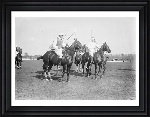 Framed Polo Brown Lieut Palmes Print