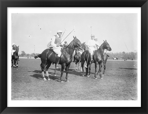 Framed Polo Brown Lieut Palmes Print