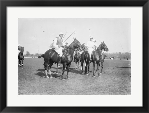Framed Polo Brown Lieut Palmes Print