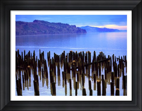 Framed Wooden posts in water, Columbia River, Washington, USA Print