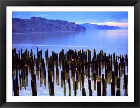 Framed Wooden posts in water, Columbia River, Washington, USA Print