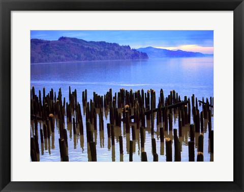 Framed Wooden posts in water, Columbia River, Washington, USA Print