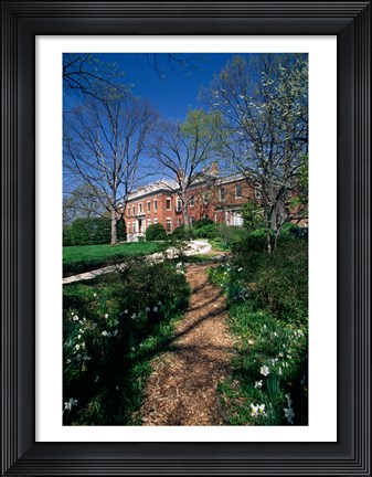 Framed Trees in a garden, Dumbarton Oaks House, Georgetown, Washington DC, USA Print