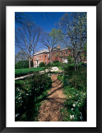 Framed Trees in a garden, Dumbarton Oaks House, Georgetown, Washington DC, USA Print