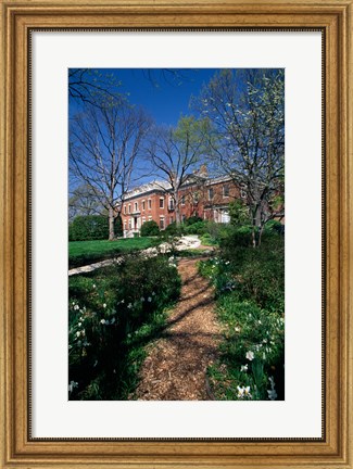 Framed Trees in a garden, Dumbarton Oaks House, Georgetown, Washington DC, USA Print