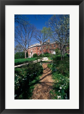 Framed Trees in a garden, Dumbarton Oaks House, Georgetown, Washington DC, USA Print