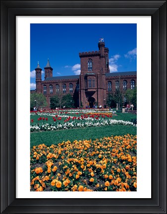 Framed Formal garden in front of a museum, Smithsonian Institution, Washington DC, USA Print