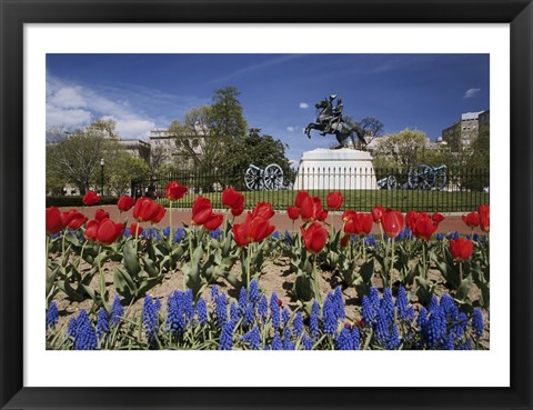 Framed Andrew Jackson Statue, Washington D.C., USA Print