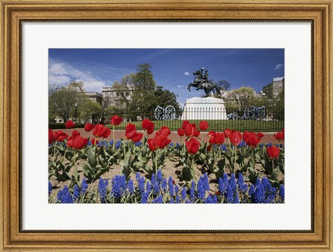 Framed Andrew Jackson Statue, Washington D.C., USA Print