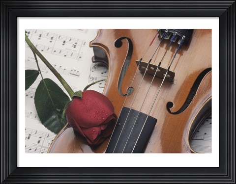 Framed Violin Print