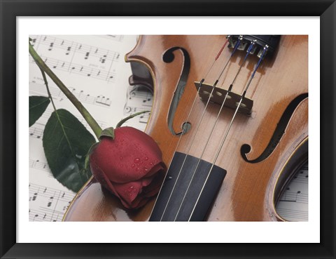 Framed Violin Print