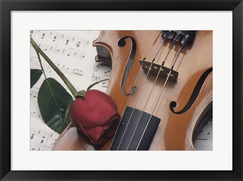 Framed Violin Print