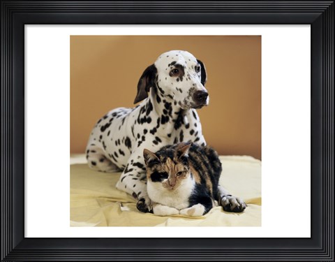 Framed Dalmatian and Cat Print