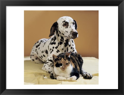 Framed Dalmatian and Cat Print