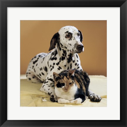 Framed Dalmatian and Cat Print