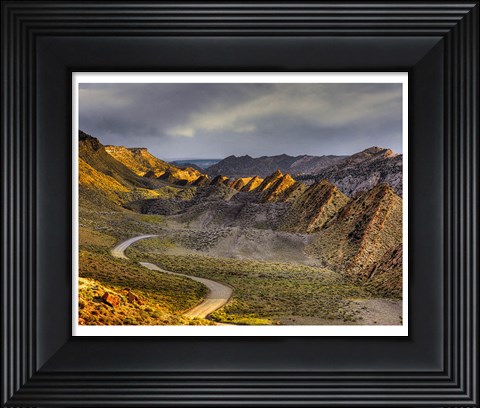 Framed Cockscomb cottonwood Print