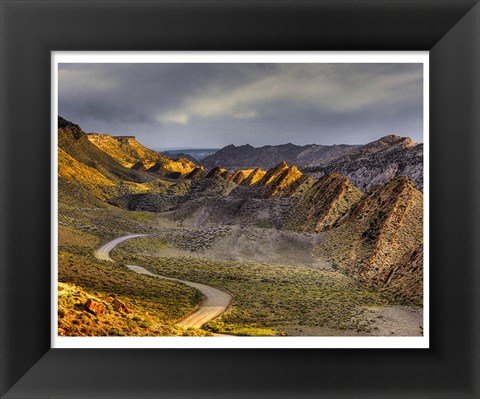 Framed Cockscomb cottonwood Print