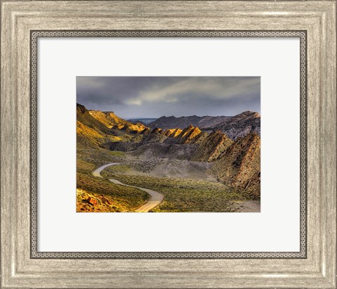 Framed Cockscomb cottonwood Print