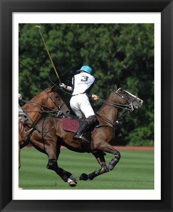 Framed Polo nearside back Print