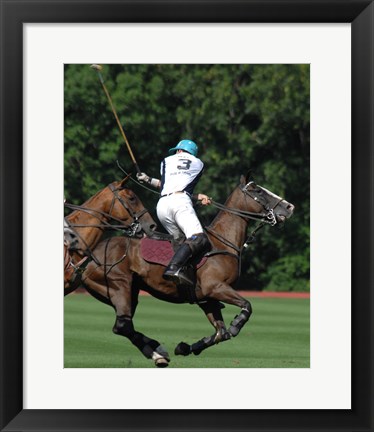 Framed Polo nearside back Print