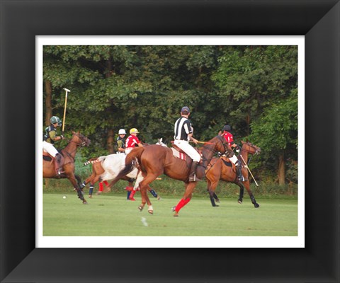 Framed Polo Umpire Print