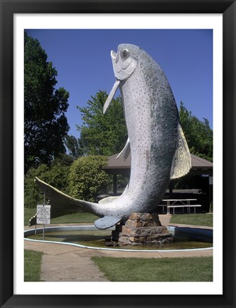 Framed Adaminaby big trout Print