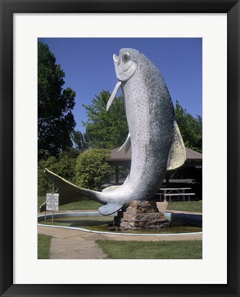 Framed Adaminaby big trout Print