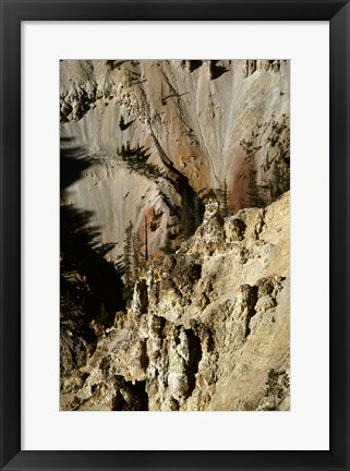 Framed Grand Canyon of the Yellowstone River Yellowstone National Park Wyoming USA Print