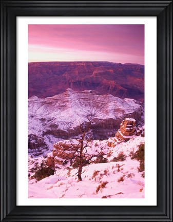 Framed South Rim Grand Canyon National Park Arizona USA Print