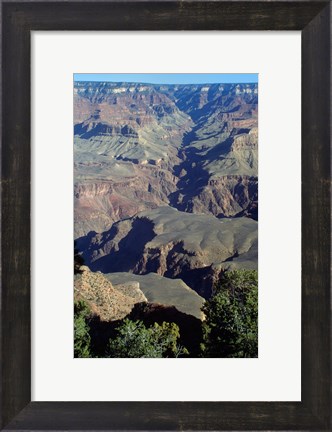 Framed Grand Canyon National Park with Green Trees Print