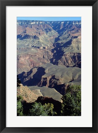 Framed Grand Canyon National Park with Green Trees Print