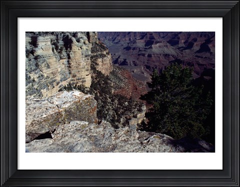 Framed Looking Down Into the Grand Canyon Print