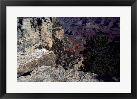 Framed Looking Down Into the Grand Canyon Print