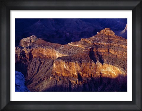 Framed Cedar Ridge Grand Canyon National Park Arizona USA Print