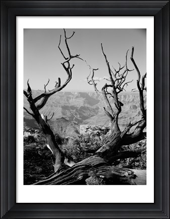 Framed USA, Arizona, Grand Canyon, Colorado River seen from South Rim Print
