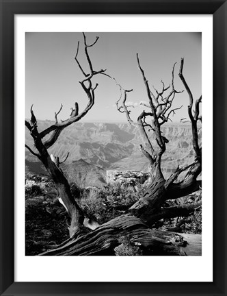 Framed USA, Arizona, Grand Canyon, Colorado River seen from South Rim Print