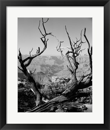 Framed USA, Arizona, Grand Canyon, Colorado River seen from South Rim Print