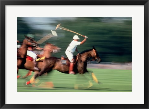 Framed Polo - running horses Print