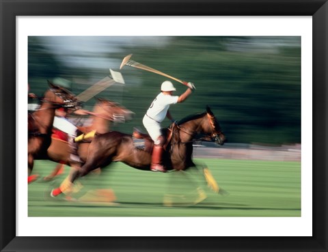 Framed Polo - running horses Print